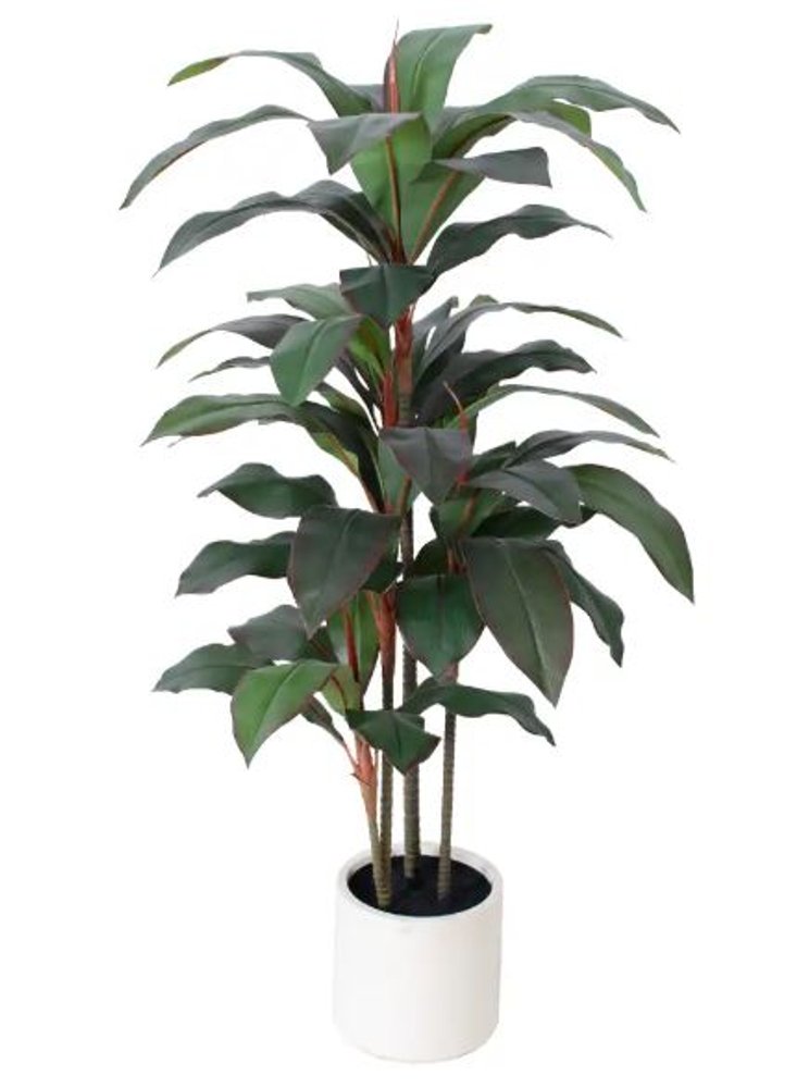 7" Green Artificial Dracaena In Cylindrical White Cement Pot