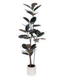 71" Black Artificial Rubber Tree In Cylindrical White Cement Pot