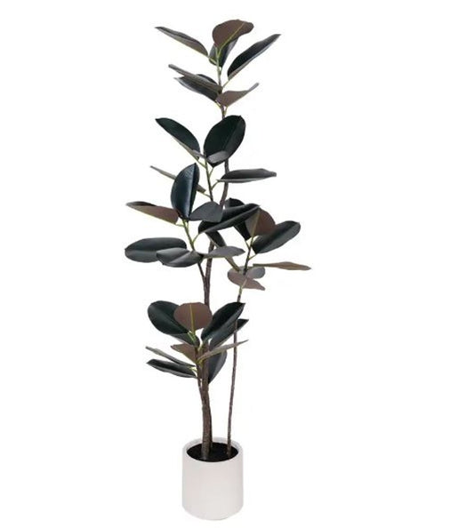 71" Black Artificial Rubber Tree In Cylindrical White Cement Pot