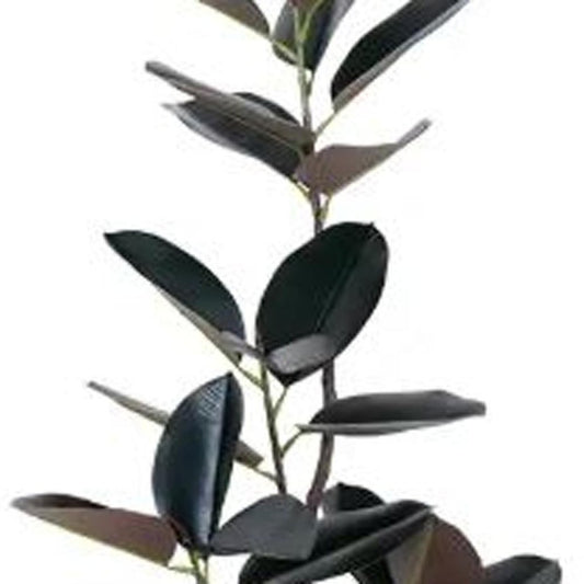 71" Black Artificial Rubber Tree In Cylindrical White Cement Pot