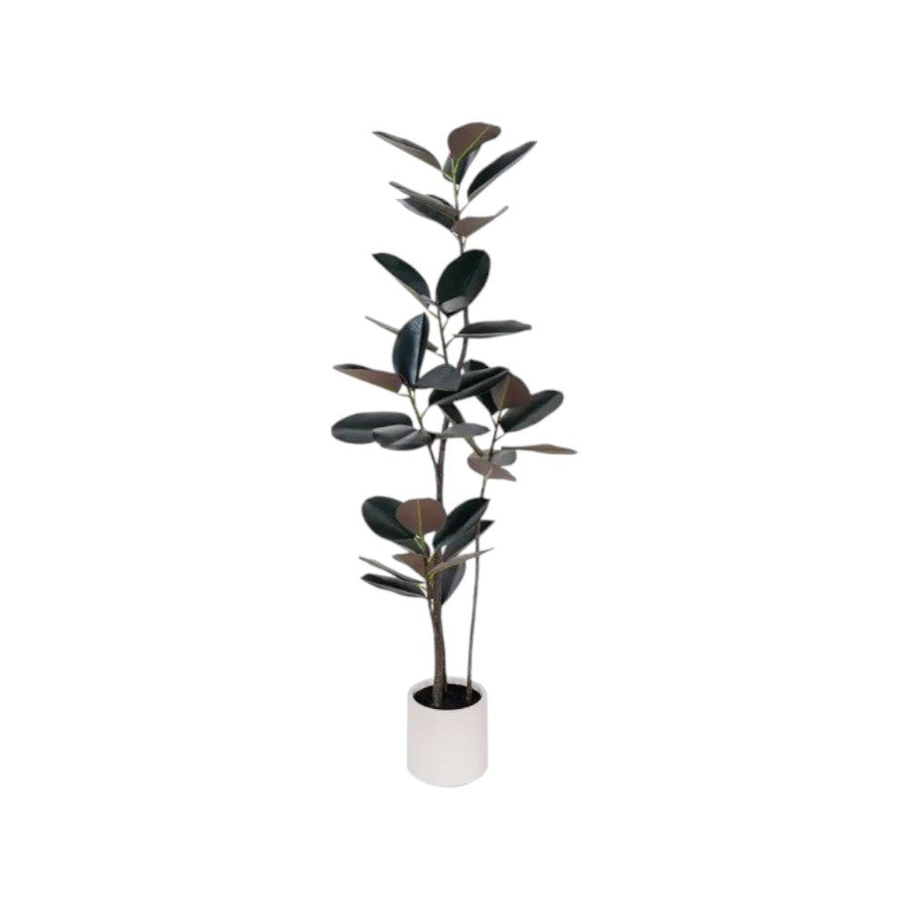 71" Black Artificial Rubber Tree In Cylindrical White Cement Pot