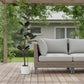 71" Black Artificial Rubber Tree In Cylindrical White Cement Pot