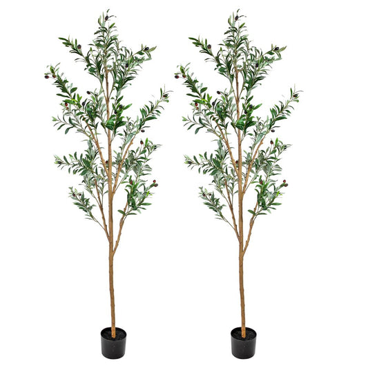 Set of Two 72" Green Artificial Olive Trees in a Black Pots