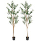 Set Of Two 84" Green Artificial Olive Trees in a Black Pot