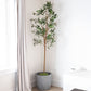 Set Of Two 84" Green Artificial Olive Trees in a Black Pot