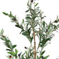 Set Of Two 84" Green Artificial Olive Trees in a Black Pot