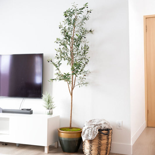 Set Of Two 84" Green Artificial Olive Trees in a Black Pot