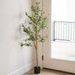 60" Green Olive Artificial Tree in a Black Pot