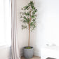 84" Green Olive Artificial Tree in a Black Pot