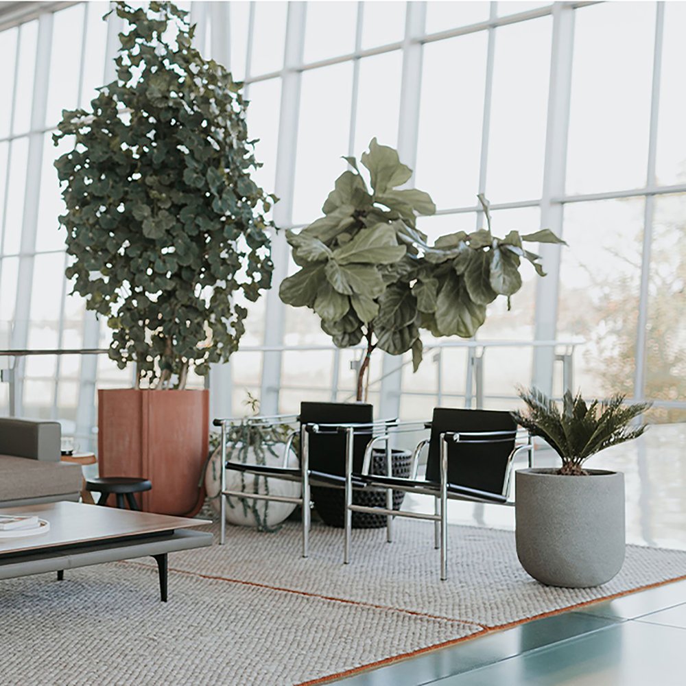 24" Silver Stainless Steel Arm Chair