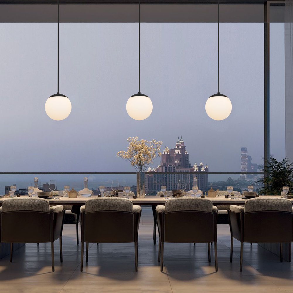 10" Black And White Frosted LED Dimmable Outdoor Globe Hanging Light