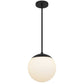 10" Black And White Frosted LED Dimmable Outdoor Globe Hanging Light