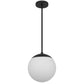 10" Black And White Frosted LED Dimmable Outdoor Globe Hanging Light