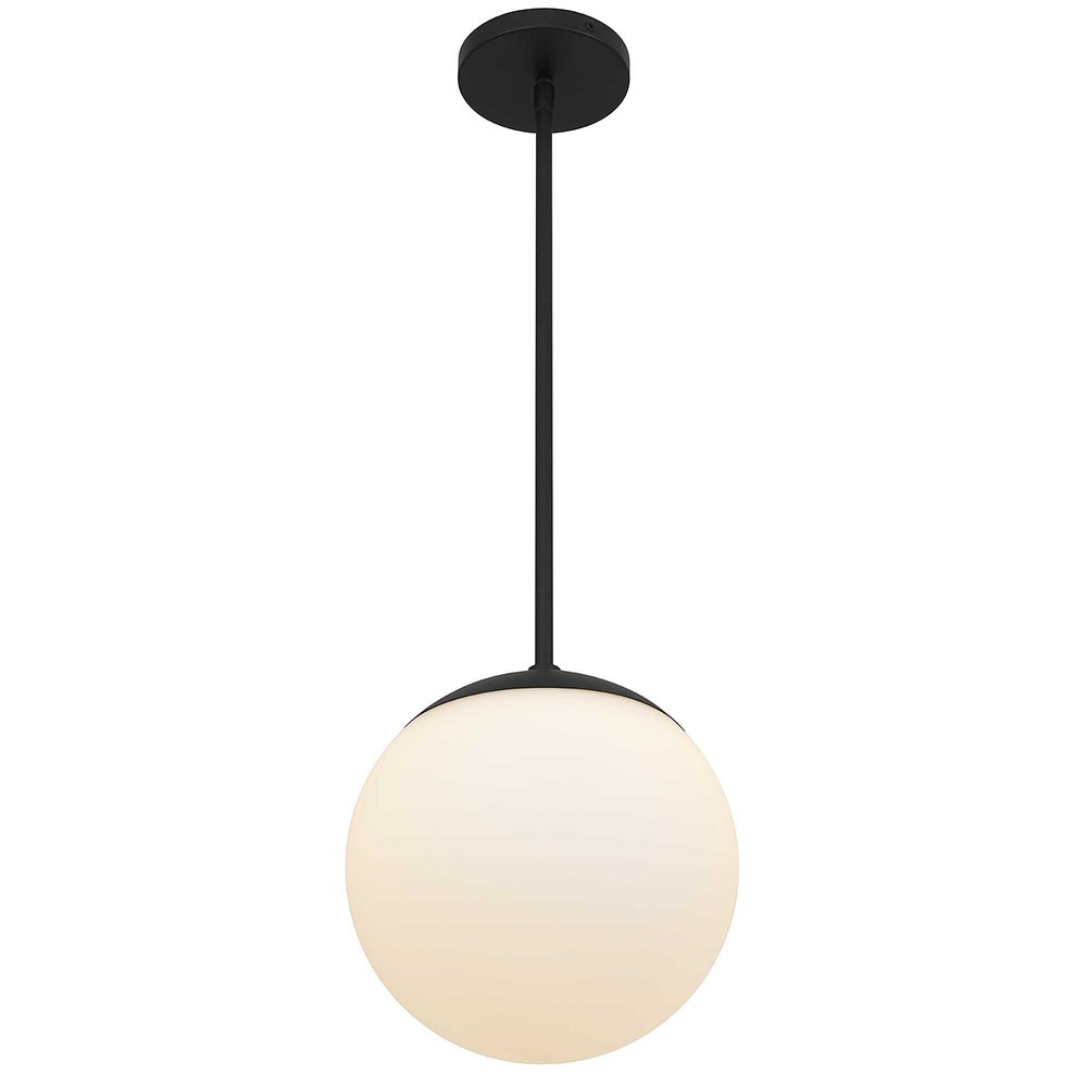 10" Black And White Frosted LED Dimmable Outdoor Globe Hanging Light