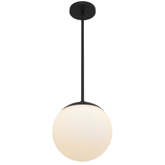 10" Black And White Frosted LED Dimmable Outdoor Globe Hanging Light