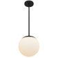 10" Black And White Frosted LED Dimmable Outdoor Globe Hanging Light