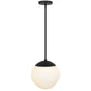 10" Black And White Frosted LED Dimmable Outdoor Globe Hanging Light