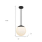 10" Black And White Frosted LED Dimmable Outdoor Globe Hanging Light
