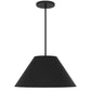 22" Black Aluminum Cone LED Dimmable Outdoor Pendent Hanging Light