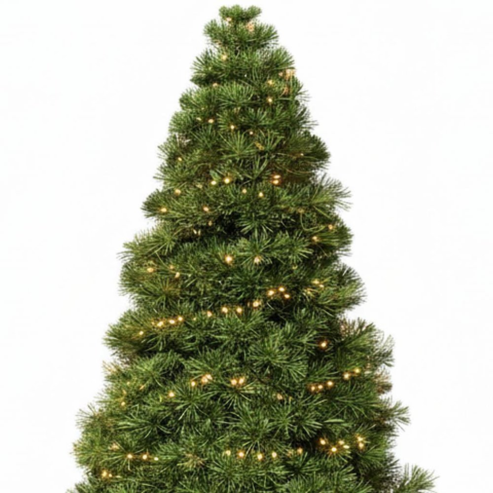 6' Pre Lit Full Spruce Christmas Tree