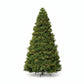 6' Pre Lit Full Spruce Christmas Tree