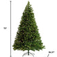 6' Pre Lit Full Spruce Christmas Tree
