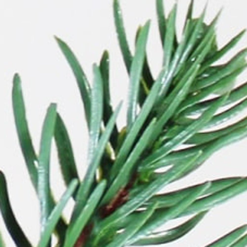 7' Full Spruce Christmas Tree