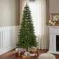5' Slender Spruce Christmas Tree