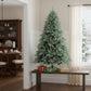 6' Full Spruce Christmas Tree