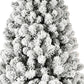 6' Pre Lit Full Flocked Spruce Christmas Tree