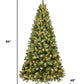 7' Pre Lit Full Spruce Christmas Tree