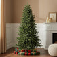 6' Full Spruce Christmas Tree
