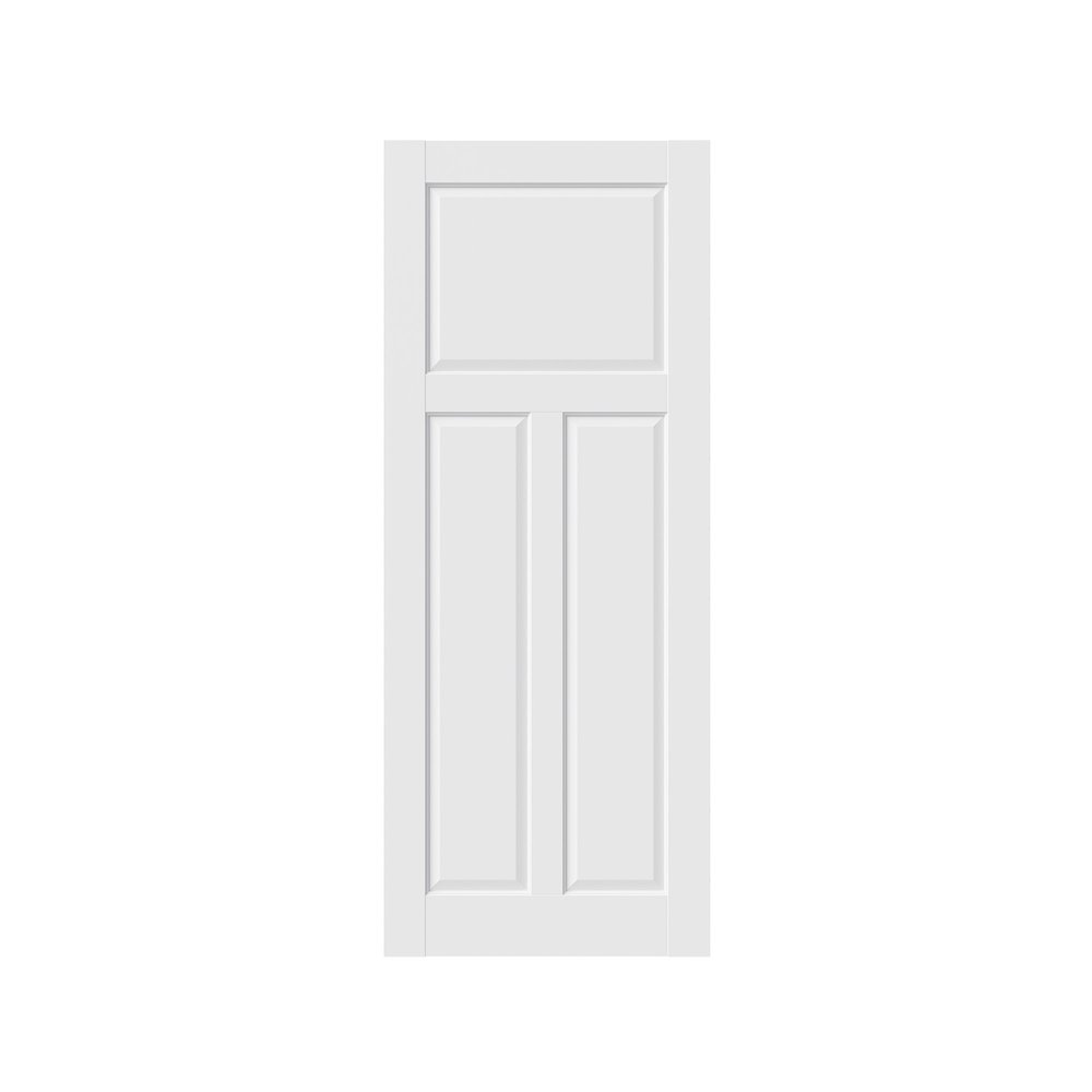 80" X 24" White Wood Slab Door