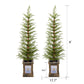 4' Full Tropical Christmas Tree With Decorations