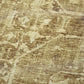 50" X 70" Beige And Tan Damask Polyester Woven Plush Throw Blanket
