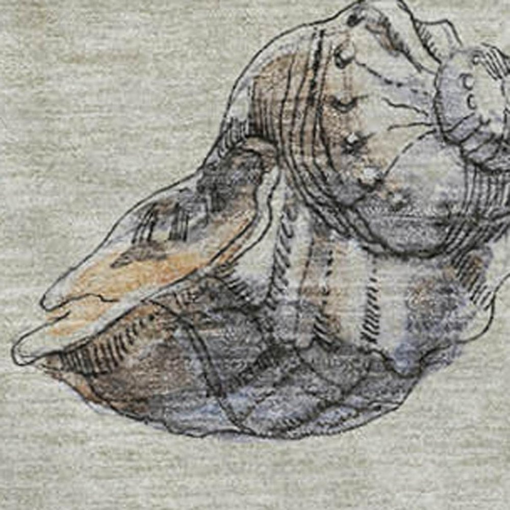 50" X 70" Beige Chocolate And Ivory Animal Print Polyester Woven Plush Throw Blanket