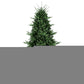 7.5' Full Pine Christmas Tree