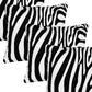 Set of Four 20" Black And White Throw Pillow Covers
